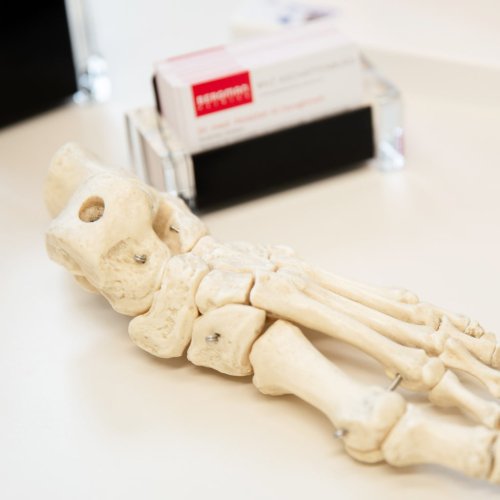 Orthop&auml;die